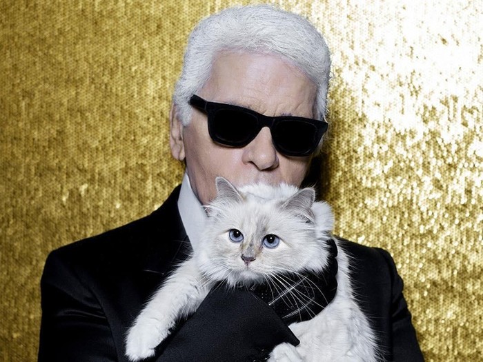 kucing Karl Lagerfeld