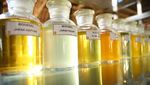Kementan Klaim Sukses Kembangkan Biodiesel B 100