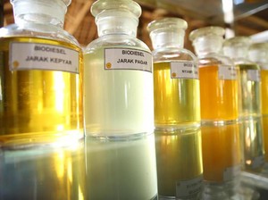Biodieselnya Dihambat, RI Siap Lawan Uni Eropa di WTO