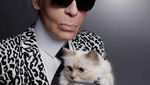 Foto: Liburan Jetset Kucing Mendiang Karl Lagerfeld