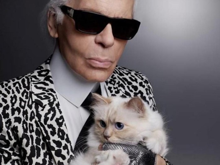 Kucing peliharaan mendiang desainer Karl Lagerfeld.