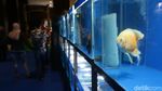 Di Jakarta Ada Pameran Hewan Peliharaan Terbesar di Asia Tenggara Lho