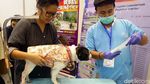 Begini Ekspresi Hewan Peliharaan Saat Dipasangi Microchip