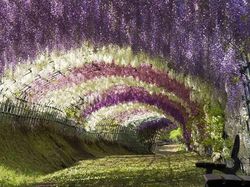 Ini Dia 15 Tempat Instagrammable di Dunia