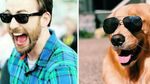 Kocak! Saat Anjing Peliharaan Tirukan Pose Chris Evans