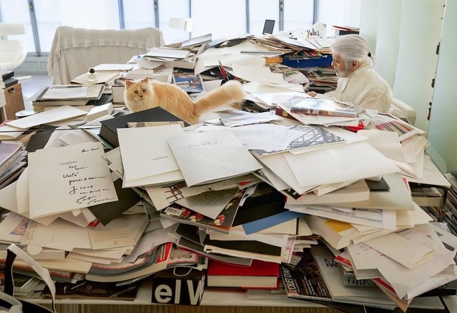 Dengan harta sebanyak itu, kira-kira bagaimana Choupette akan menghabiskan uang yang diwariskan Lagerfeld padanya? Foto: Instagram//@choupettesdiary