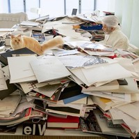 Dengan harta sebanyak itu, kira-kira bagaimana Choupette akan menghabiskan uang yang diwariskan Lagerfeld padanya? Foto: Instagram//@choupettesdiary