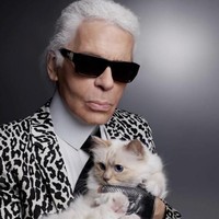 Mendiang Karl Lagerfeld yang meninggal pada Selasa (19/2/2019) diketahui sangat menyayangi kucingnya, Choupette. Kucing putih berusia 8 tahun itu pun masuk dalam daftar ahli warisnya. Foto: Instagram/@choupettesdiary