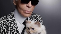 Choupette, Kucing Karl Lagerfeld Ditinggali Warisan Rp 26 M Kini Hidup Susah