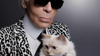 Choupette, Kucing Karl Lagerfeld Ditinggali Warisan Rp 26 M Kini Hidup Susah