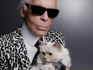 Si Lucu Choupette, Kucing yang Akan dapat Warisan Miliaran dari Karl Lagerfeld