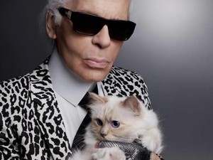 Choupette, Kucing Karl Lagerfeld Ditinggali Warisan Rp 26 M Kini Hidup Susah