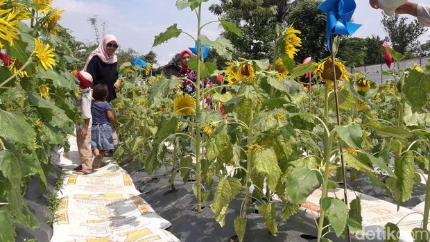 Keren Tempat Buang Sampah Di Bekasi Disulap Jadi Taman