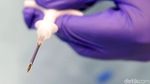Begini Ekspresi Hewan Peliharaan Saat Dipasangi Microchip