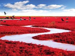 Ini Dia 15 Tempat Instagrammable di Dunia