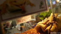 Dengan merogoh kocek Rp 40.000 Anda sudah bisa melihat keseluruhan pameran.