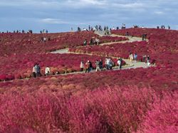 Ini Dia 15 Tempat Instagrammable di Dunia