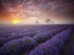 Ini Dia 15 Tempat Instagrammable di Dunia