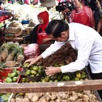 Jokowi Blusukan Ke Pasar Minggu dan Bintaro, Borong Ayam hingga Manggis 