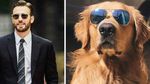 Kocak! Saat Anjing Peliharaan Tirukan Pose Chris Evans