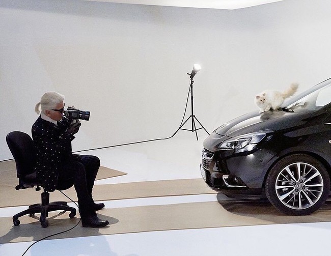 Choupette pun sudah memiliki penghasilan sendiri. Dengan jumlah follower mencapai 225 ribu di Instagram, ia kerap mendapat tawaran endorse dengan angka ratusan juta rupiah. Foto: Instagram//@choupettesdiary