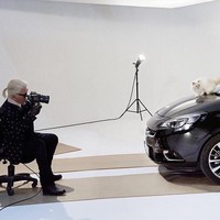 Choupette pun sudah memiliki penghasilan sendiri. Dengan jumlah follower mencapai 225 ribu di Instagram, ia kerap mendapat tawaran endorse dengan angka ratusan juta rupiah. Foto: Instagram//@choupettesdiary