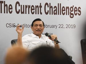 Dikritik Jadi Menteri Semua Urusan, Luhut: Otaknya Keliru