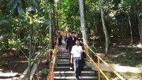 Dalam sepanjang perjalanan menuju puncak Gunung Tidar, traveler akan menemukan jenis pinus, pohon khaya, asem londo, salak dan jenis tanaman lainnya. (Eko Susanto/detikTravel)