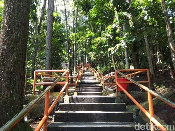 Berjalan menaiki ratusan anak tangga di bawah rerimbunan pohon pinus yang sejuk dan nyaman. (Eko Susanto/detikTravel) Berjalan menaiki ratusan anak tangga di bawah rerimbunan pohon pinus yang sejuk dan nyaman. (Eko Susanto/detikTravel)