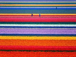 Ini Dia 15 Tempat Instagrammable di Dunia