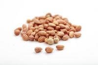 5 Rempah Termahal di Dunia, Ada yang Rp 140 Juta per Kg!