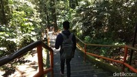 Turis maupun masyarakat sekitar yang datang menuju puncak Gunung Tidar biasanya hanya sekadar jalan-jalan menikmati keindahan dan pemandangan pepohonan menghijau tersebut. (Eko Susanto/detikTravel)