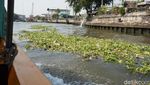 Foto: Sungai Para Dewa di Thailand