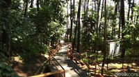 Pengunjung yang datang menuju puncak Gunung Tidar datang dari berbagai kota. (Eko Susanto/detikTravel)