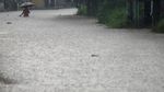 Sungai Citarum Meluap Rendam Perumahan di Bandung