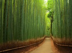 Ini Dia 15 Tempat Instagrammable di Dunia