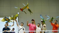 Pameran hewan peliharaan ini digelar hari ini (22/2) hingga 24 Februari 2019 mendatang.