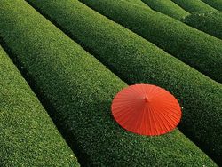 Ini Dia 15 Tempat Instagrammable di Dunia