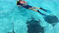 Salma Hayek juga suka snorkeling saat liburan. Ini saat dia snorkeling bersama ikan pari. Sayang lokasinya tidak disebutkan (salmahayek/Instagram)