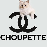 Jika warisan tersebut benar jatuh ke tangannya, Choupette pun akan menjadi kucing jutawan. Foto: Instagram//@choupettesdiary