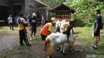 Potret Hash, Olahraga Sambil Berwisata