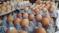 Ingin Jadiin Otot dengan Makan 4 Telur Tiap Hari, Efektif Nggak Sih?