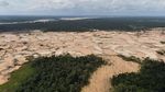 Parah! Hutan Amazon Gundul Akibat Penambangan Ilegal