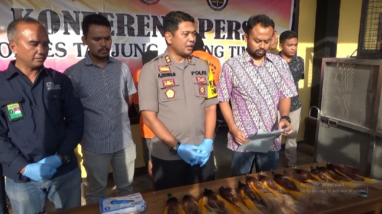 Penyelundupan Satwa Langka di Jambi Digagalkan, 2 Pelaku Ditangkap Penyelundupan Satwa Langka di Jambi Digagalkan, 2 Pelaku Ditangkap