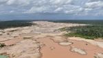 Parah! Hutan Amazon Gundul Akibat Penambangan Ilegal