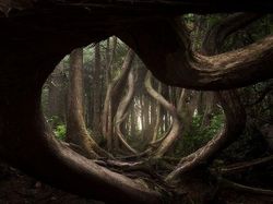 Karya Jawara Landscape Photographer of the Year Bikin Terperangah