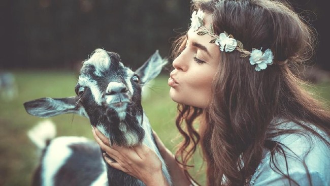 Ragam Kasus Zoofilia, Menyetubuhi Kambing hingga Pacaran dengan Kecoa