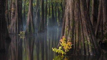 Daerah selatan AS karya Thorsten Scheuermann. Foto: internationallandscapephotographer.com