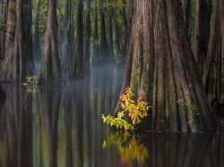 Karya Jawara Landscape Photographer of the Year Bikin Terperangah
