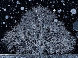 Karya Jawara Landscape Photographer of the Year Bikin Terperangah